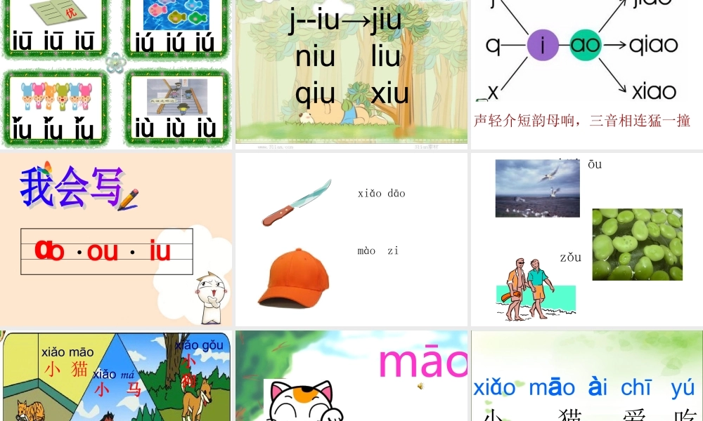 汉语拼音ao_ou_iu_PPT课件