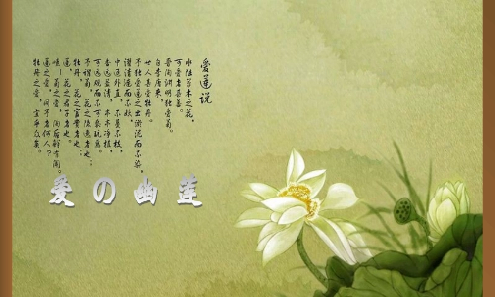 爱莲说语文课件PPT模板