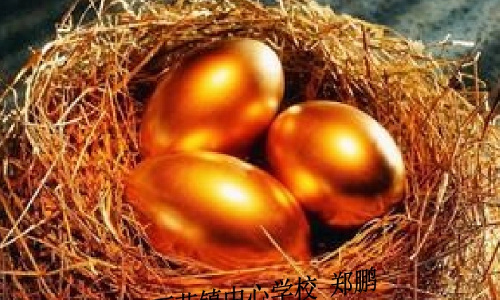 （精品）鸟的生殖和发育