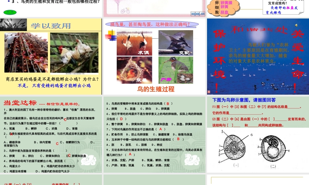 （精品）鸟的生殖和发育