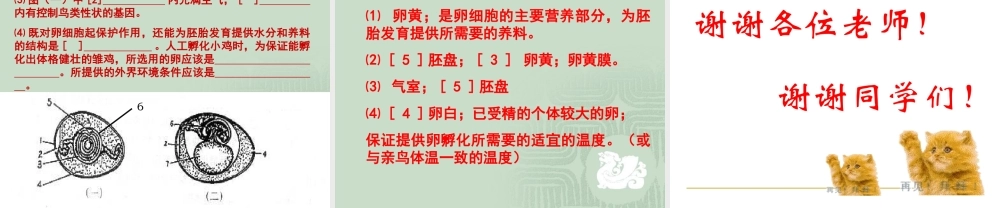 （精品）鸟的生殖和发育