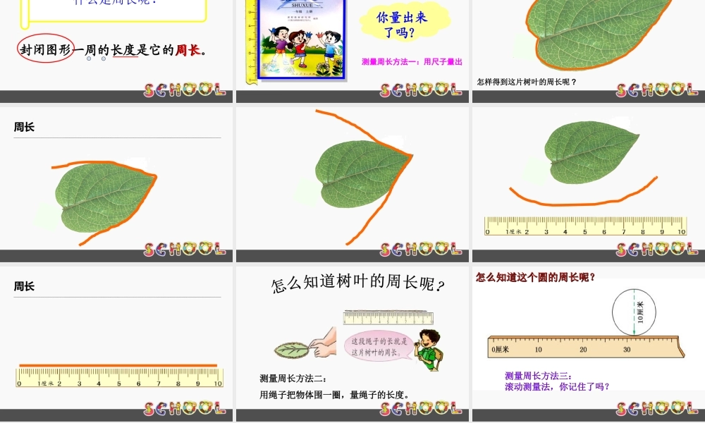 三年级数学上册课件-周长