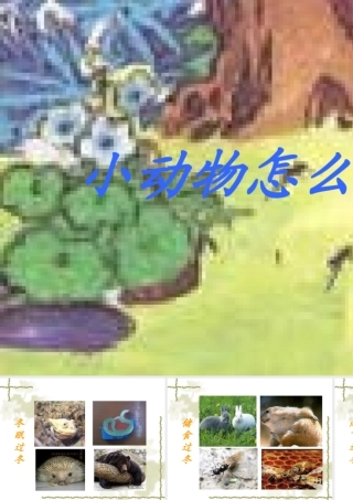 小动物怎么过冬