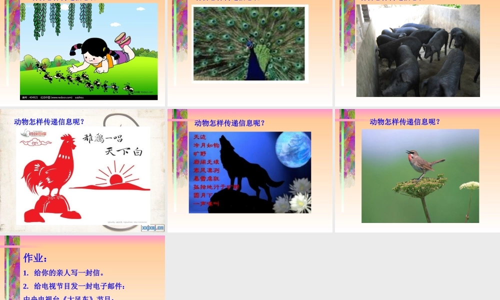 小学五年级信息技术PPT《信息传递真神奇》课件