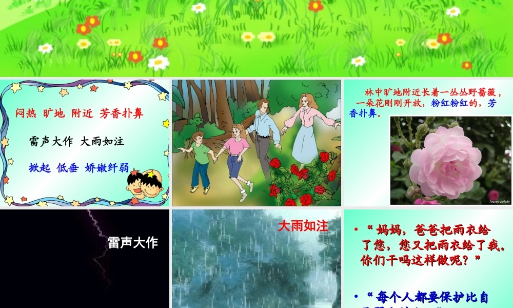 苏教版小学语文我不是最弱小的