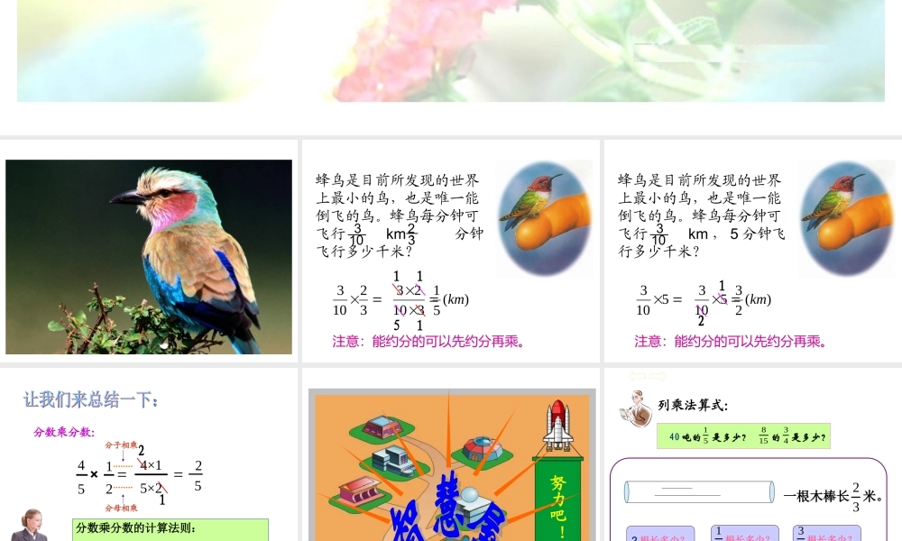 分数乘法三课件