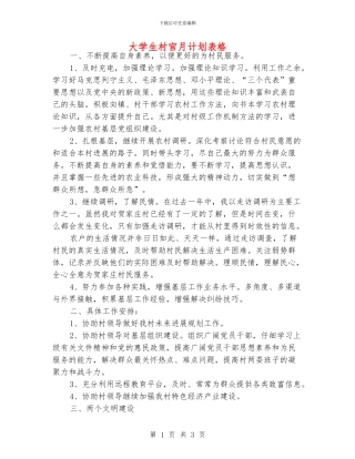 大学生村官月计划表格