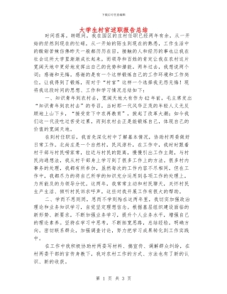 大学生村官述职报告总结