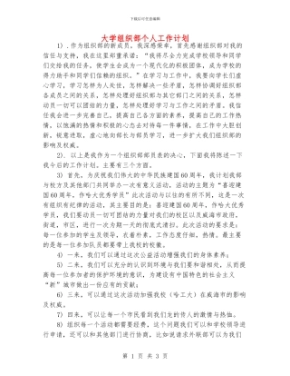 大学组织部个人工作计划