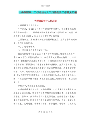 大桥跟踪审计工作总结与大气污染防治工作意见汇编