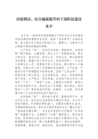 经验做法：综合施策提升村干部队伍建设水平