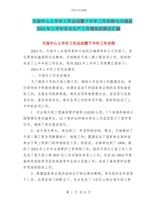 天保中心上半年工作总结暨下半年工作安排与天城县2024年上半年安全生产工作情况的报告汇编