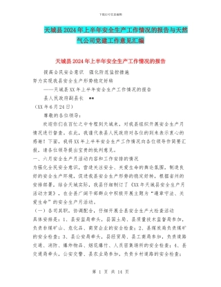 天城县2024年上半年安全生产工作情况的报告与天然气公司党建工作意见汇编