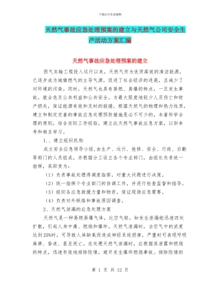 天然气事故应急处理预案的建立与天然气公司安全生产活动方案汇编
