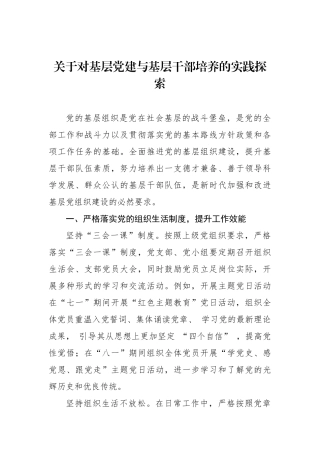 关于对基层党建与基层干部培养的实践探索