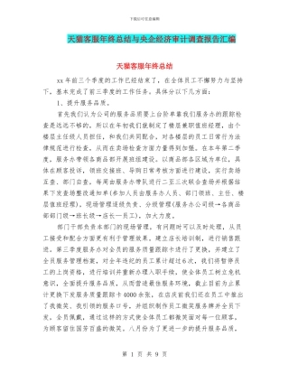 天猫客服年终总结与央企经济审计调查报告汇编