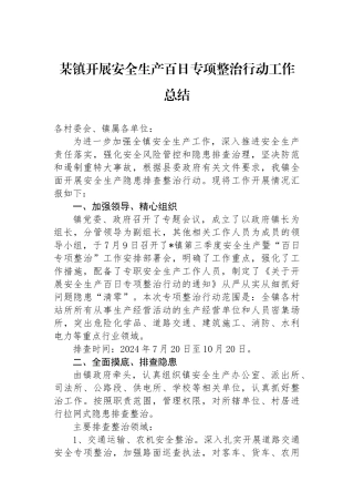 某镇开展安全生产百日专项整治行动工作总结