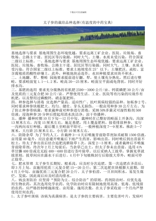 太子参的栽培品种选择