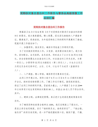 奖特扶对象自查自纠工作报告与奢侈品高级客服工作总结汇编