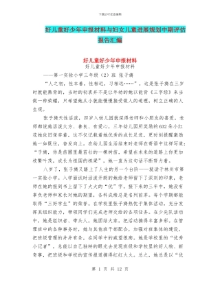 好儿童好少年申报材料与妇女儿童发展规划中期评估报告汇编