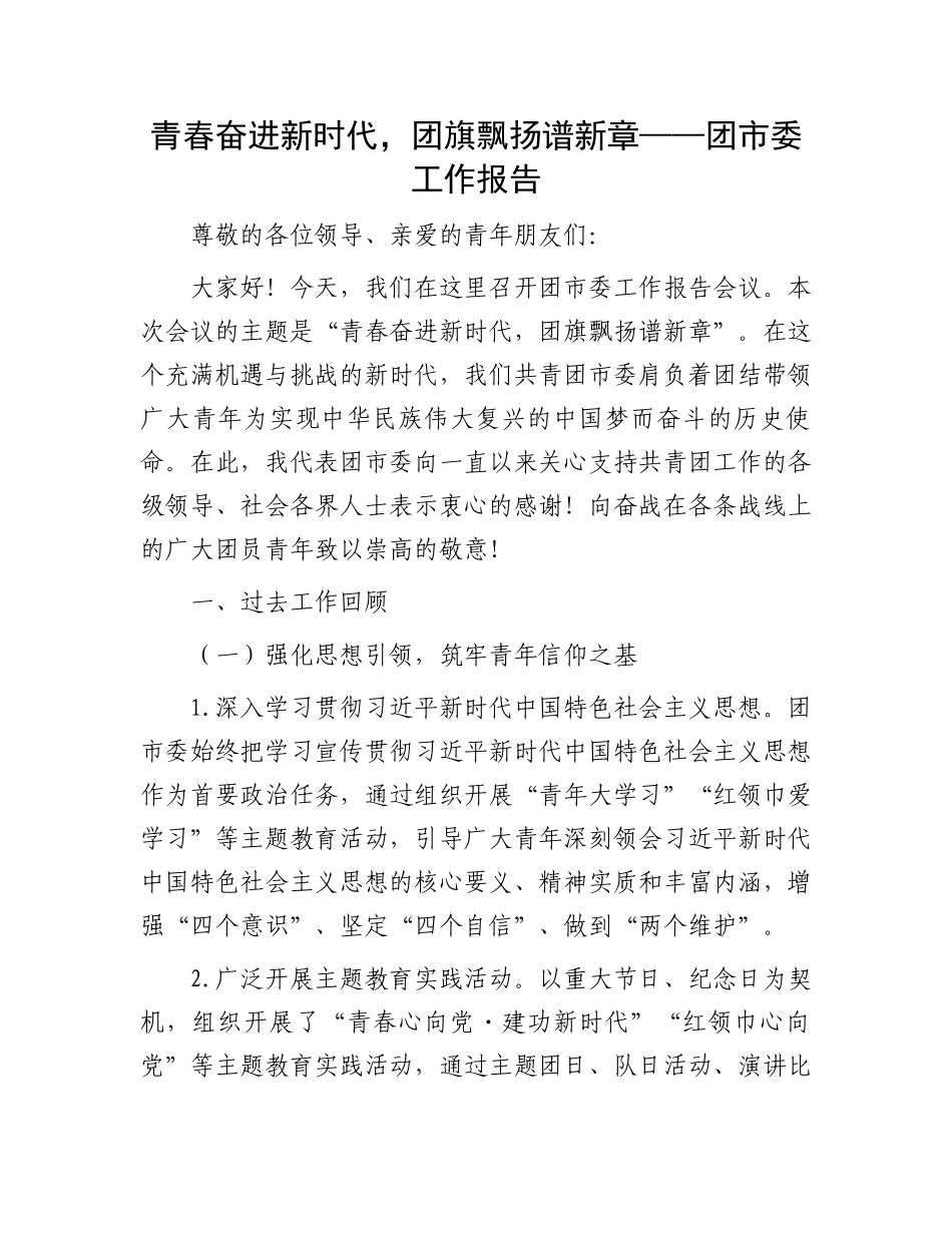 青春奋进新时代，团旗飘扬谱新章——团市委工作报告_第1页