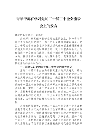 青年干部在学习党的二十届三中全会座谈会上的发言