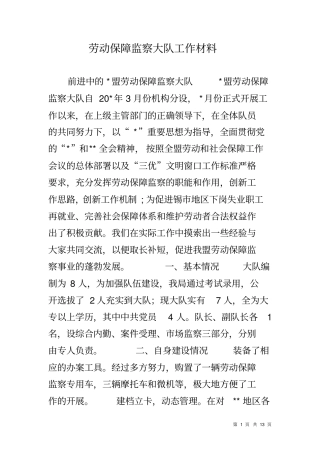 劳动保障监察大队工作材料