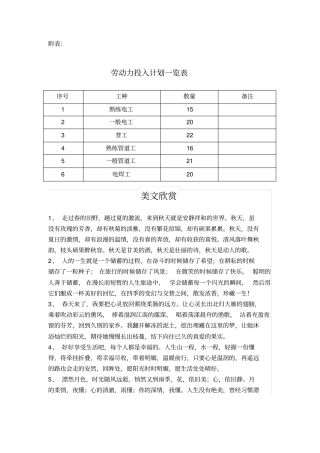 劳动力投入计划一览表1