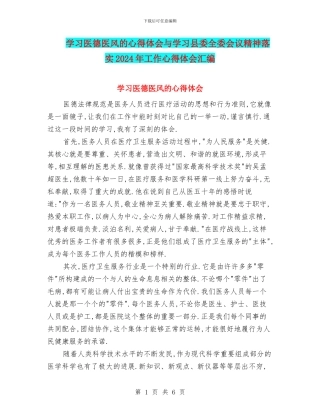 学习医德医风的心得体会与学习县委全委会议精神落实2024年工作心得体会汇编