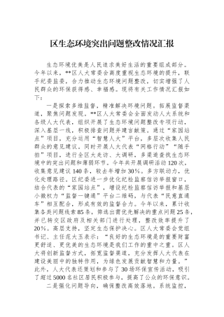 区生态环境突出问题整改情况汇报