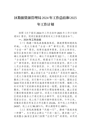 区数据资源管理局2024年工作总结和2025年工作计划