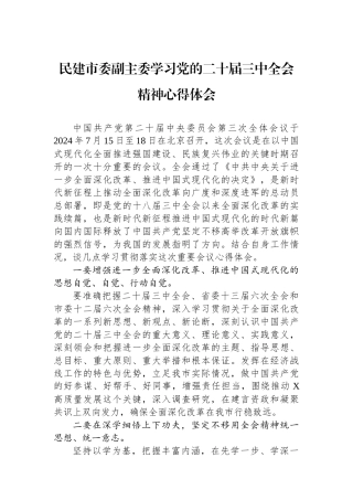 民建市委副主委学习党的二十届三中全会精神心得体会
