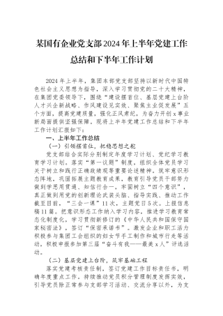 某国有企业党支部2024年上半年党建工作总结和下半年工作计划