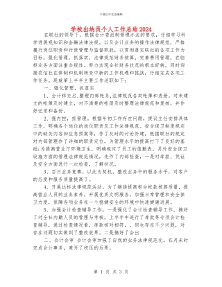 学校出纳员个人工作总结2024