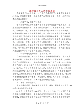 学校审计个人的工作总结