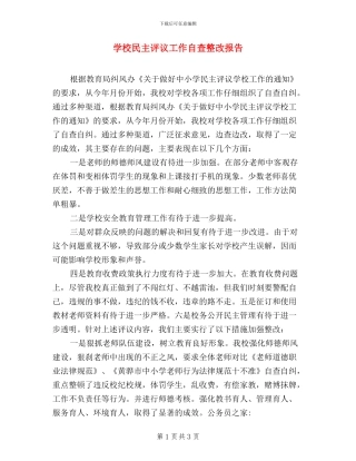 学校民主评议工作自查整改报告