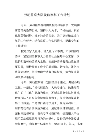 劳动监察大队及监察科工作计划