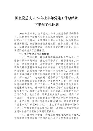 国企党总支2024年上半年党建工作总结及下半年工作计划