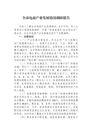 全市电商产业发展情况调研报告