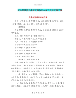安全促进项目实施方案与安全保卫专项方案汇编