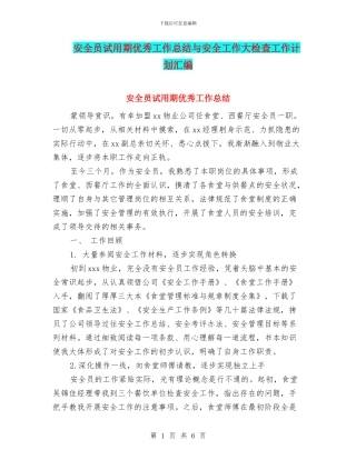 安全员试用期优秀工作总结与安全工作大检查工作计划汇编