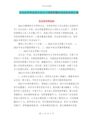 安全处年终总结与安全大排查和整治活动的总结汇编