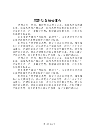 三新反贪局长体会