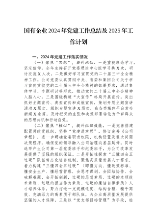国有企业2024年党建工作总结及2025年工作计划