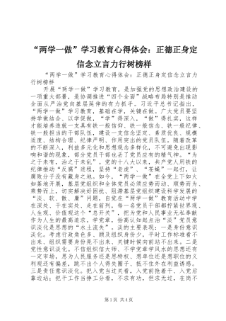 “两学一做”学习教育心得体会：正德正身定信念立言力行树榜样