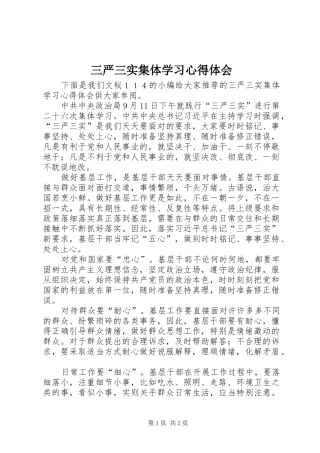 三严三实集体学习心得体会