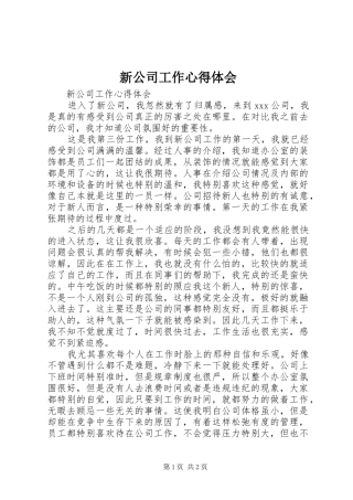 新公司工作心得体会