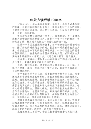 红处方读后感1900字