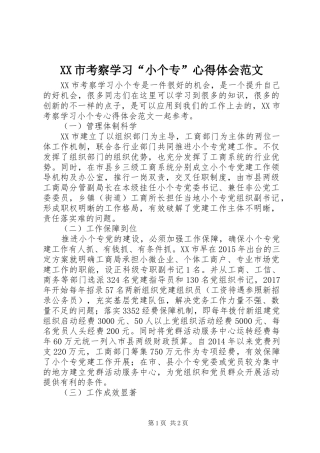 XX市考察学习“小个专”心得体会范文