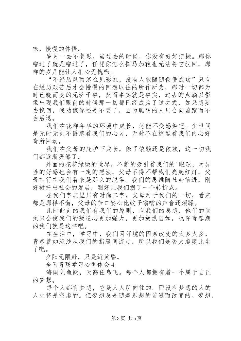 全国青联学习心得体会_第3页